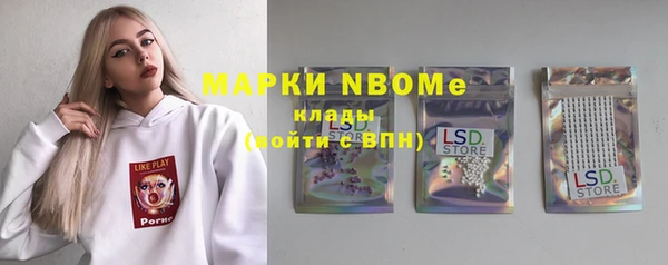 мет Алексин