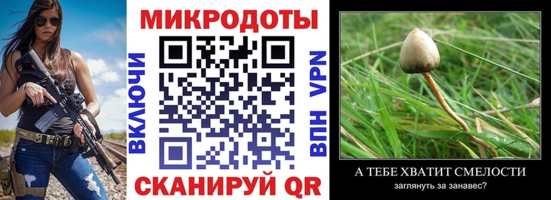 Псилоцибиновые грибы ЛСД закладка Находка